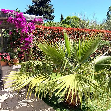 Chambre D'Hotes De Charme Merbleuesoleil Six-Fours-les-Plages Exterior foto